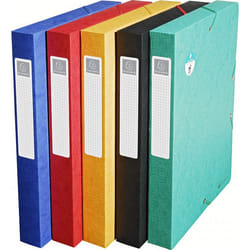 Exacompta 50810E Boîte à archives Multicolore