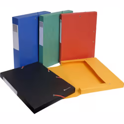 Exacompta 50810E Boîte à archives Multicolore