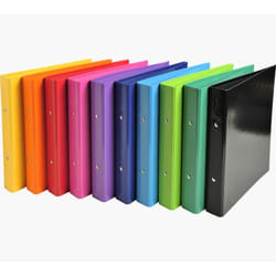 Exacompta 51029E classeur à anneaux A4 Multicolore