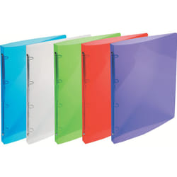 Exacompta 51298E classeur à anneaux A4 Multicolore