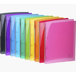 Exacompta 51670E classeur à anneaux A4 Multicolore