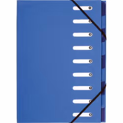Exacompta 52982E, Papier, Bleu, A4, 240 mm, 320 mm