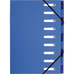 Exacompta 52982E organiseur personnel Papier Bleu