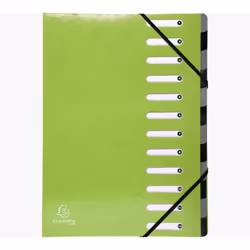 Exacompta 53923E, Porte-documents, A4, Carton, Vert, 600 g/m², 245 mm