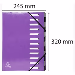 Exacompta 53926E fichier Carton Violet A4