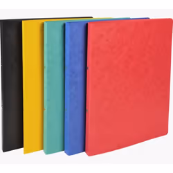 Exacompta 54250E, A4, Carton, Multicolore, 355 g/m², 320 mm, 250 mm