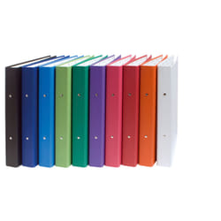 Exacompta 54330E classeur à anneaux A4 Multicolore