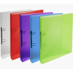 Exacompta 54498E classeur à anneaux A4 Multicolore