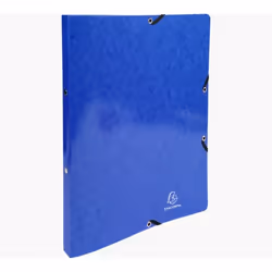 Exacompta 54882E, A4, Carton, Bleu, 600 g/m², 320 mm, 250 mm