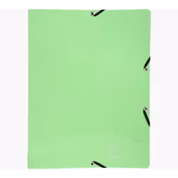 Exacompta 54893E, A4, Carton, Vert, 600 g/m², 320 mm, 250 mm