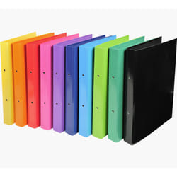 Exacompta 54929E classeur à anneaux A4 Multicolore