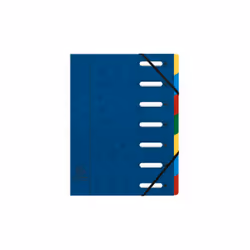 Exacompta 55072E, Bleu, Multicolore, Portrait, A4, 225 g/m², 240 mm, 320 mm