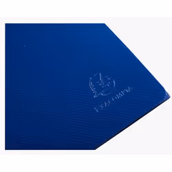 Exacompta Chemise À Élastiques 3 Rabats Polypropylène Recyclé Beeblue - A4 - Bleu Marine - Nouveauté