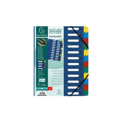 Exacompta 55242E intercalaire de classement Onglet avec index numérique Carton Bleu, Multicolore