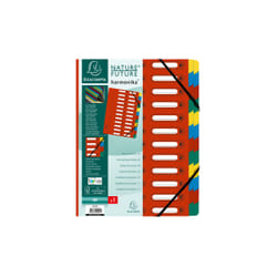 Exacompta 55245E intercalaire de classement Onglet avec index numérique Carton Multicolore, Rouge