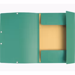 Exacompta 55403E fichier Carton comprimé Vert A4