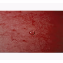 Exacompta 55405E fichier Carton comprimé Rouge A4