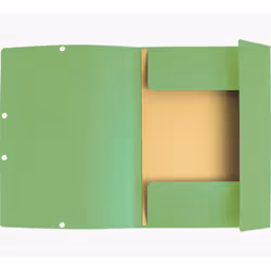 Exacompta 55513E, Porte-documents, A4, Carton, Vert, 400 g/m², 240 mm