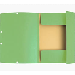 Exacompta 55513E fichier Carton Vert A4