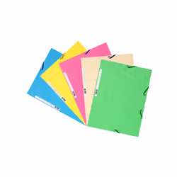Exacompta 55550E fichier Multicolore A4