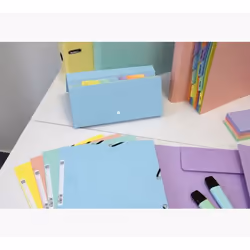 Exacompta 55560E fichier Carton comprimé Couleurs assorties, Bleu, Corail, Vert, Mauve, Jaune A4 - Vue supplémentaire 13