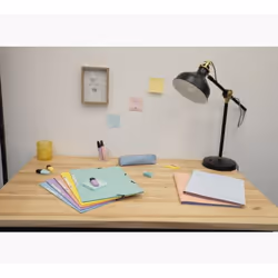 Exacompta 55560E fichier Carton comprimé Couleurs assorties, Bleu, Corail, Vert, Mauve, Jaune A4 - Vue supplémentaire 17