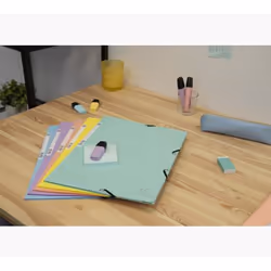 Exacompta 55560E fichier Carton comprimé Couleurs assorties, Bleu, Corail, Vert, Mauve, Jaune A4 - Vue supplémentaire 20