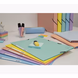 Exacompta 55560E fichier Carton comprimé Couleurs assorties, Bleu, Corail, Vert, Mauve, Jaune A4 - Vue supplémentaire 29