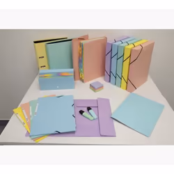 Exacompta 55560E fichier Carton comprimé Couleurs assorties, Bleu, Corail, Vert, Mauve, Jaune A4 - Vue supplémentaire 31