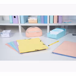 Exacompta 55560E fichier Carton comprimé Couleurs assorties, Bleu, Corail, Vert, Mauve, Jaune A4 - Vue supplémentaire 44
