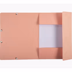 Exacompta 55560E fichier Carton comprimé Couleurs assorties, Bleu, Corail, Vert, Mauve, Jaune A4 - Vue supplémentaire 45