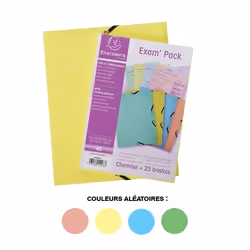 25 fiches bristol et chemise de rangement - A5 - Petits carreaux - Couleur pastel - Exacompta