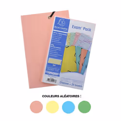 25 fiches bristol et chemise de rangement - 125x200mm - Petits carreaux - Couleur pastel - Exacompta