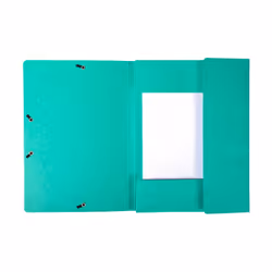 Exacompta 55753E fichier Carton Vert A4