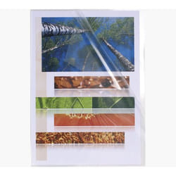 Exacompta 56111E protecteur de feuilles 210 x 297 mm (A4) Polypropylène (PP)