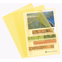 Exacompta 58529E protecteur de feuilles 210 x 297 mm (A4) Polypropylène (PP) 100 pièce(s)