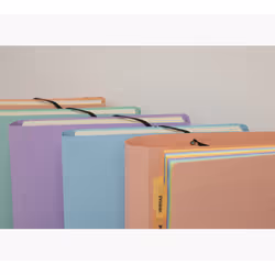Exacompta 58560E fichier Carton comprimé Couleurs assorties A4 - Vue supplémentaire 22