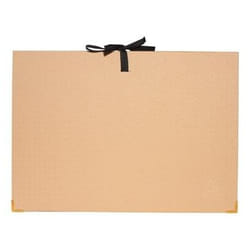 Exacompta 58602E trieuse Beige Carton, Papier