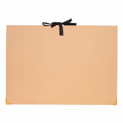 Exacompta 58602E trieuse Beige Carton, Papier