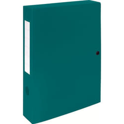 Exacompta 59633E Boîte à archives Vert