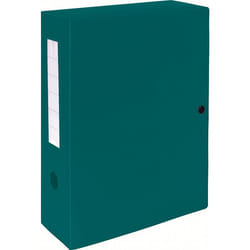 Exacompta 59933E Boîte à archives Vert