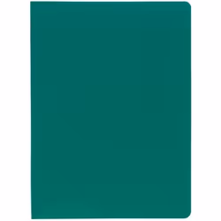 EXACOMPTA Porte-vues A4 Polypropylène souple Pochettes grainées opaque 200 vues Vert