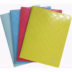 Exacompta 86240E, Porte-documents, A4, Polypropylène (PP), Couleurs assorties, 80 feuilles, 5 mm