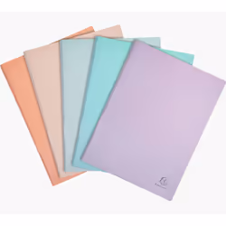 Exacompta 88460E, Couleurs assorties, Polypropylène (PP), 40 pochettes, 80 feuilles, Paysage/portrait, A4