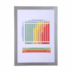 Exacompta 39200E, A4, PVC, Argent, 230 mm, 320 mm, 93 g