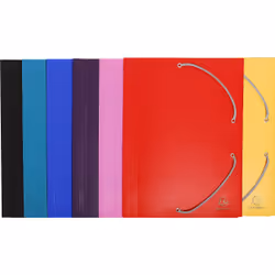 Exacompta 55900E, A4, Polypropylène (PP), Multicolore, 150 feuilles, 240 mm, 320 mm