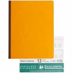 Exacompta 4130E Piqure 32/25 13 Colonnes 80 Pages