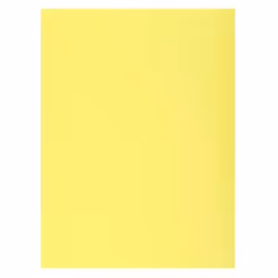 Exacompta Jura 250, A4, Jaune, 240 mm, 320 mm, 50 pièce(s)