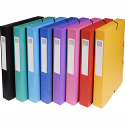 Exacompta 50400E Boîte à archives Multicolore