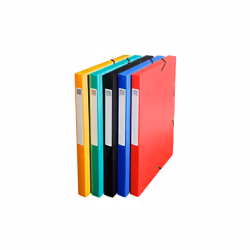 Exacompta Boite de classement Dos 25mm Carte lustrée Scotten